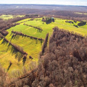 This $3.5 Million Farm Comes with Its Own Airstrip