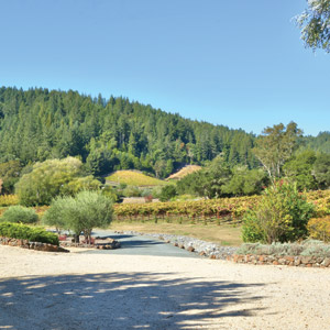 Deeds & Don'ts: Farm-to-Table Living