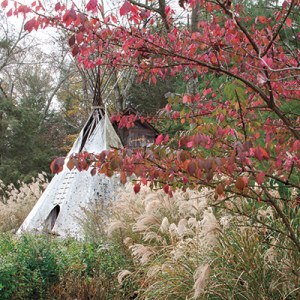 Tour a Stone-Filled Garden in Cos Cob