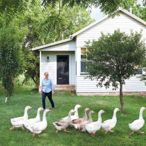 Inside Textile Designer Elizabeth Eakins’s 240-Acre Farm
