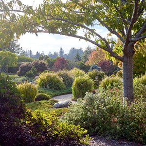 A Watercolorist&rsquo;s Spirit Lives on at Elliott and Anna Branwene&rsquo;s Garden in Sebastopol