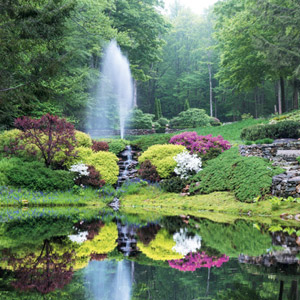 The Taming of Plum Creek Farm in Litchfield County