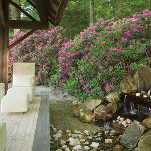 A Stunning Japanese Garden in the Heart of Litchfield County