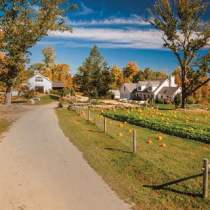 This $1.65M 93-Acre Spread Offers Both a Home and a Career Change