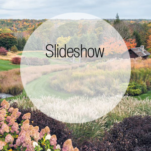 Richard Hartlage Creates a Stunning Intersection of Art and Nature in Redding