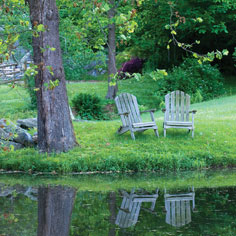 Being There&mdash;Red Mill Farm Image Gallery