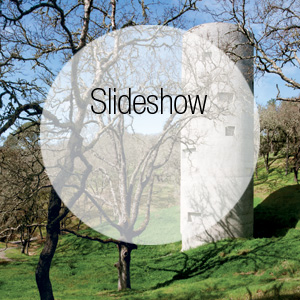 The First Monograph on Sonoma's Artful Oliver Ranch Chronicles its Inspired History