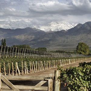 Malbecs Pair Perfectly with Cooking Over a Fire or an Argentinian Asado