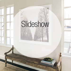 In Pacific Heights, an Achromatic Palette Strikes the Right Balance