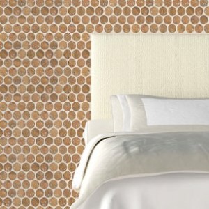 Earth Friendly Design