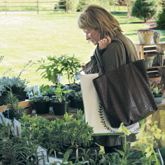 When it comes to garden shows, Trade Secrets draws the cream of the crop