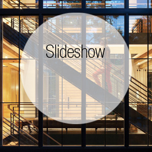 Tour a Contemporary Treehouse-Inspired Retreat