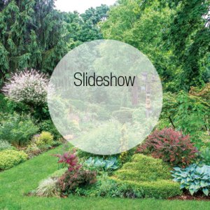 Tour the Branford Gardens of Architect Frederick Bland