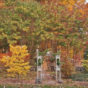 Tour a Connecticut Garden for All Seasons