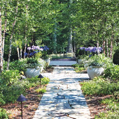 Great Ideas from IDA winners