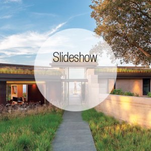 Tour a Cool Eco-Conscious Los Altos Hills Home