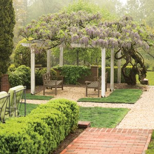 Take a Tour of the Historic Wisteria Hill Garden in Norfolk