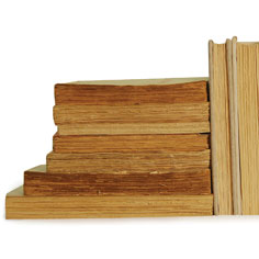 Feathering the Nest Photo Gallery