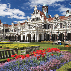 Discover New Zealand's surprising and innovative design