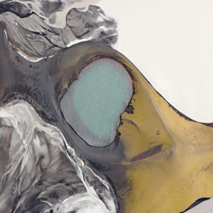 Palette&mdash;Earth, the Work of Fran Gormley