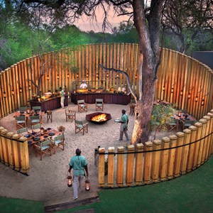 Into the Wild with DJ Carey