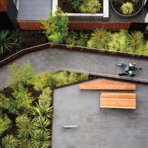 Landscape Architect David Fletcher Shares His Vision for a Green City