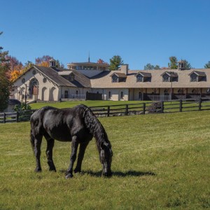 Cornwall's Pinnacle Farm Lists for $17M