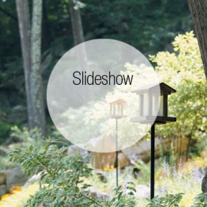 Tour a Rocky Litchfield Heaven