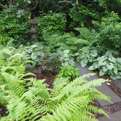 Landscape Innovator 3: Spaulding Landscape Architects, LLC