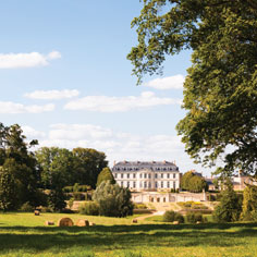 California Comfort Meets Elegant Design