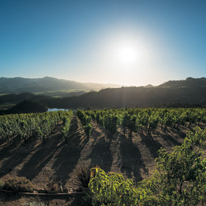 The Napa Valley's Second and Third Generation Vintners are Coming of Age