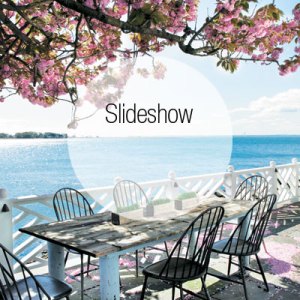 Step Inside a Waterfront Bell Island Home