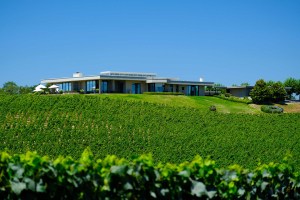 A set back image of the Russian River Estate Vineyard in Sebastopol, California