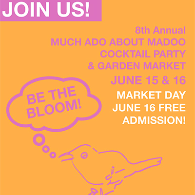 Much Ado About Madoo