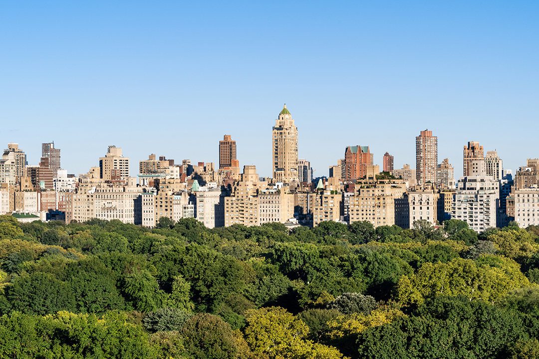 Central Park Views with city skyline