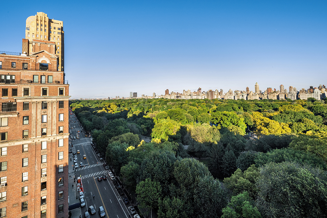 Central Park Views