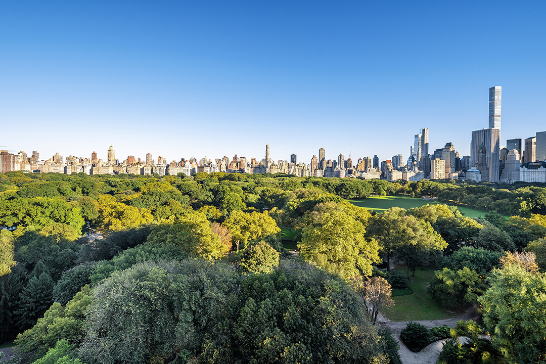 Central Park Views