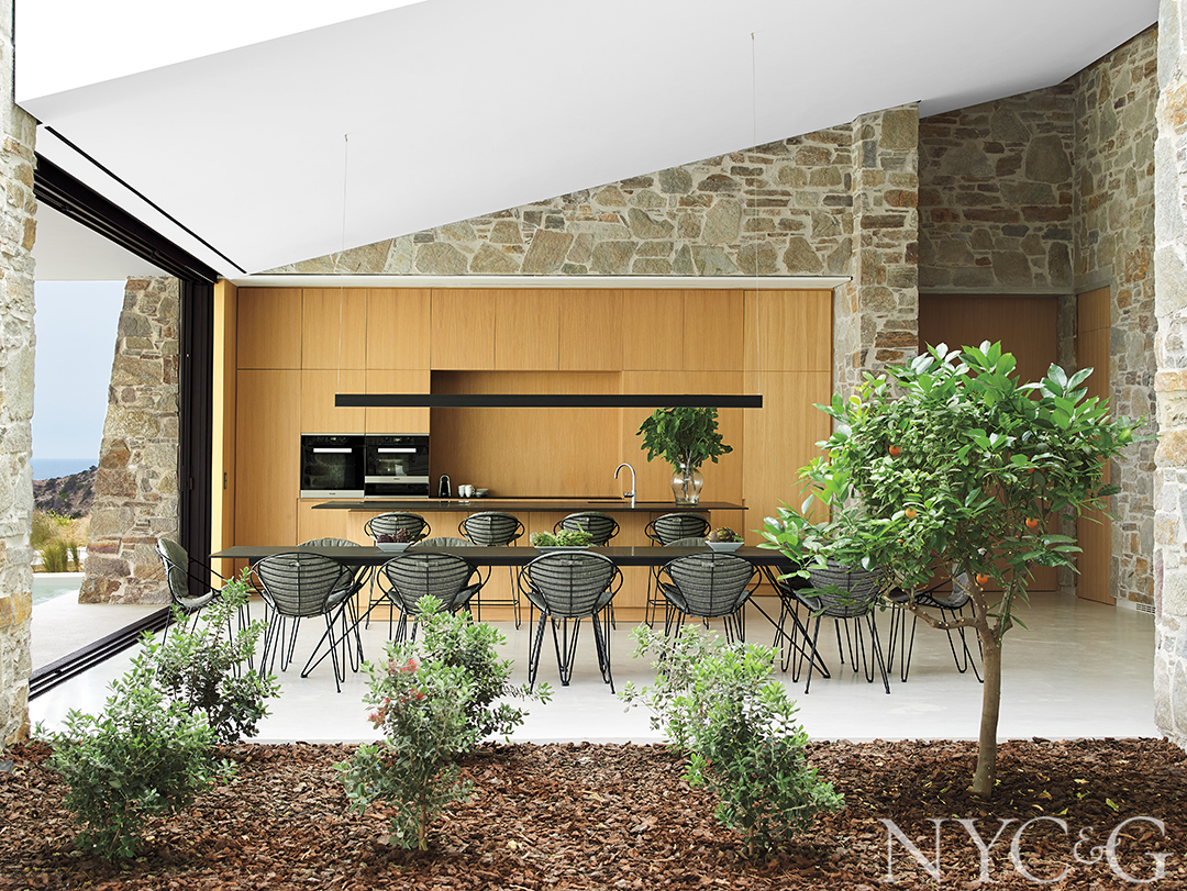 contemporary kitchen and indoor garden