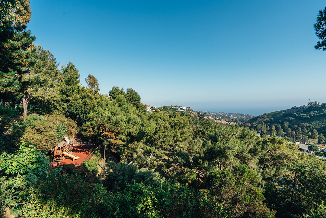 Pacific Palisades view