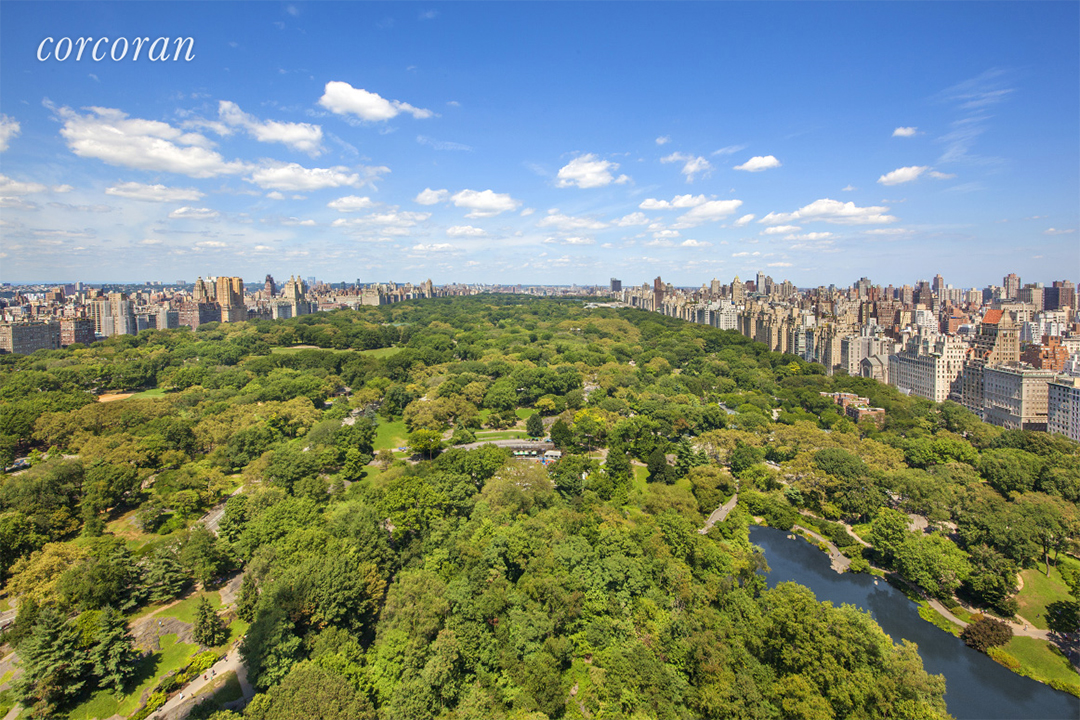 View from the Ritz Carlton Penthouse