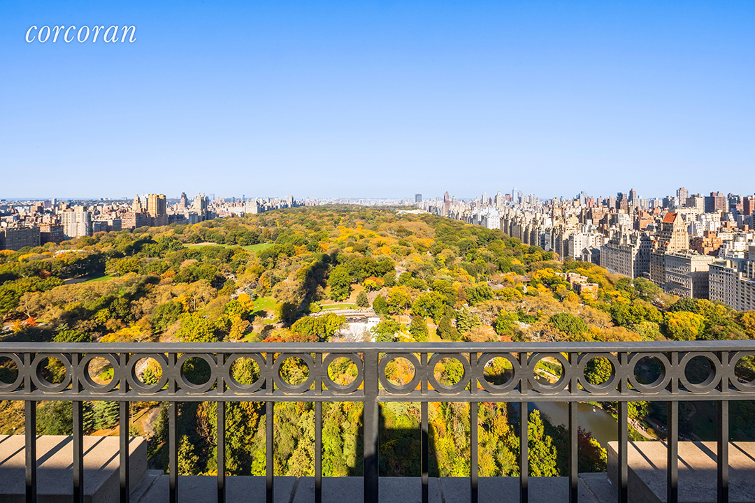 View from the Ritz Carlton Penthouse