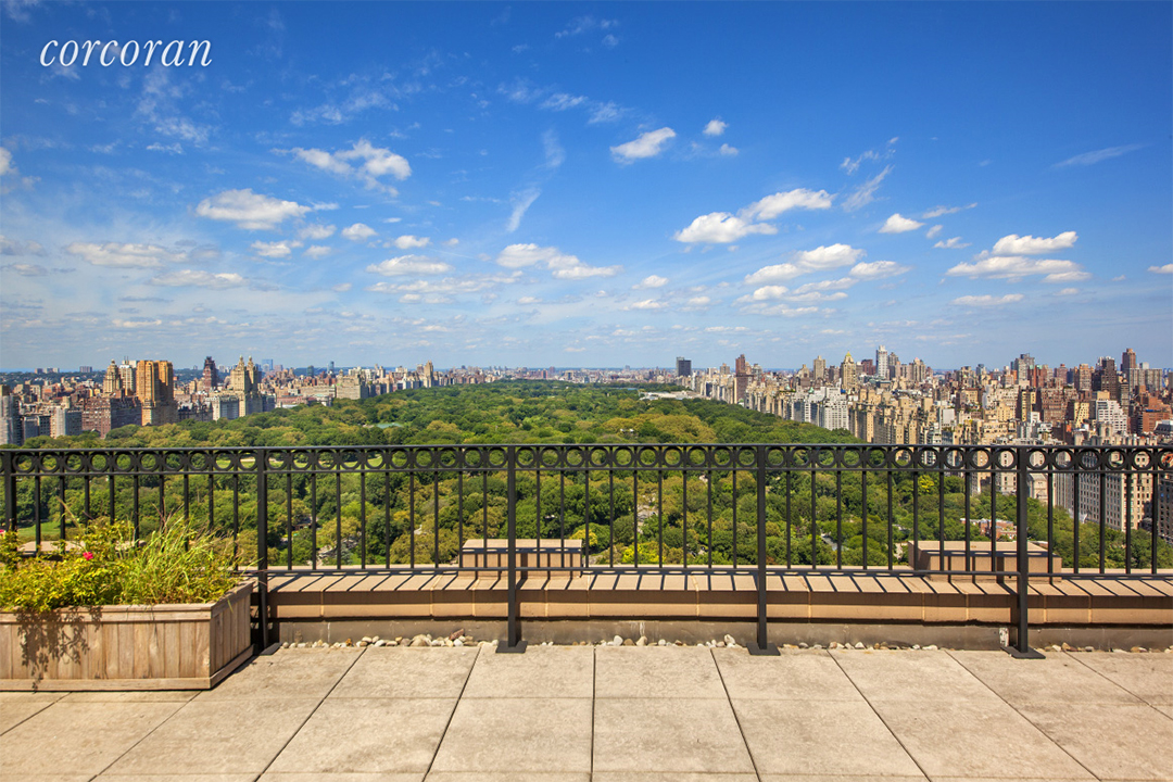 View from the Ritz Carlton Penthouse