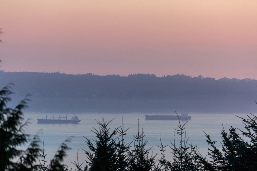 Iconic Canadian Home's View