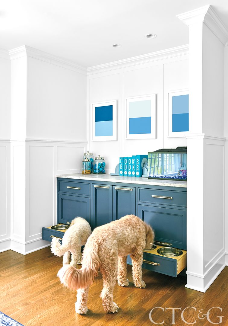 Cabinets made for accesible dog bowls.
