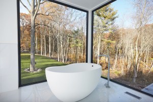 modern Westport home bath