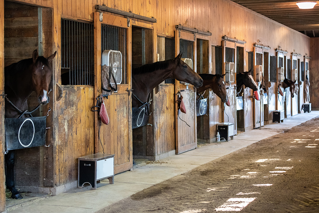 Calvin Klein Equestrian Estate Stable