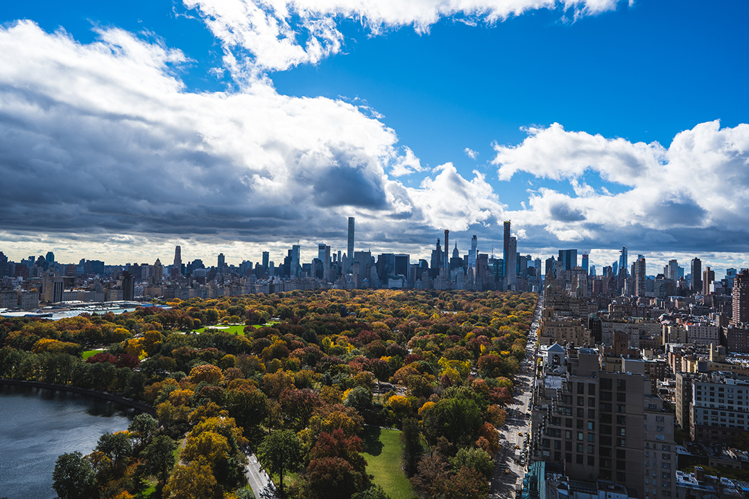 Moby Central Park Penthouse View