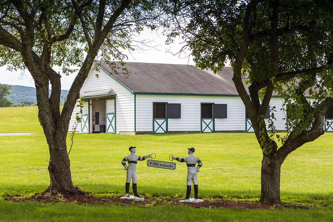 Sweet 466 Acre New York Estate Known As Sugar Maple Farm For Sale 15m Barn B
