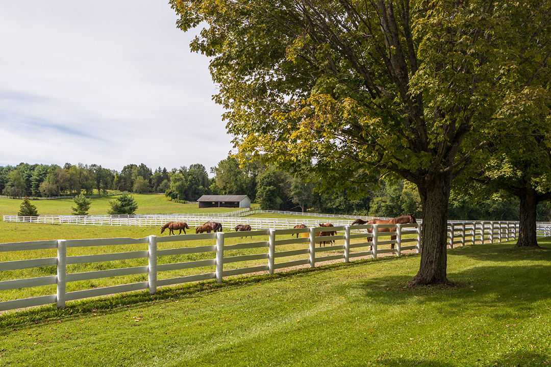 Sweet 466 Acre New York Estate Known As Sugar Maple Farm For Sale 15m Horses