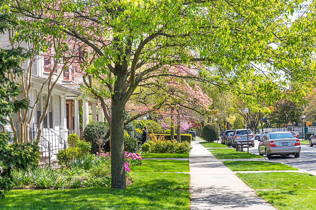 197 Rugby Road Brooklyn Home Block